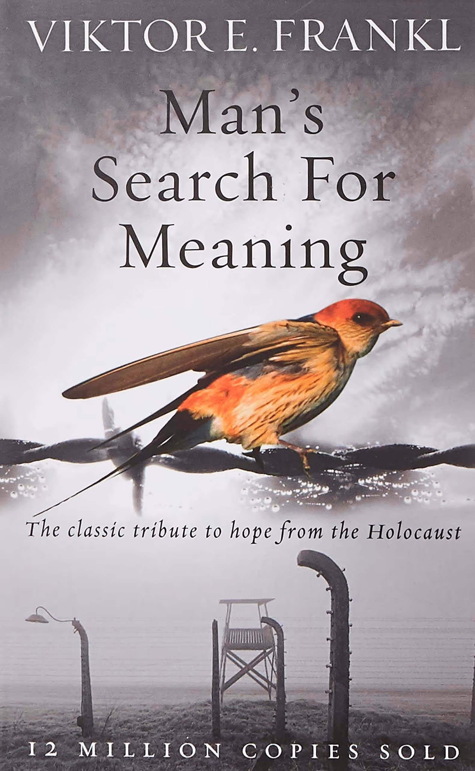 Cover of Man's Search for Meaning