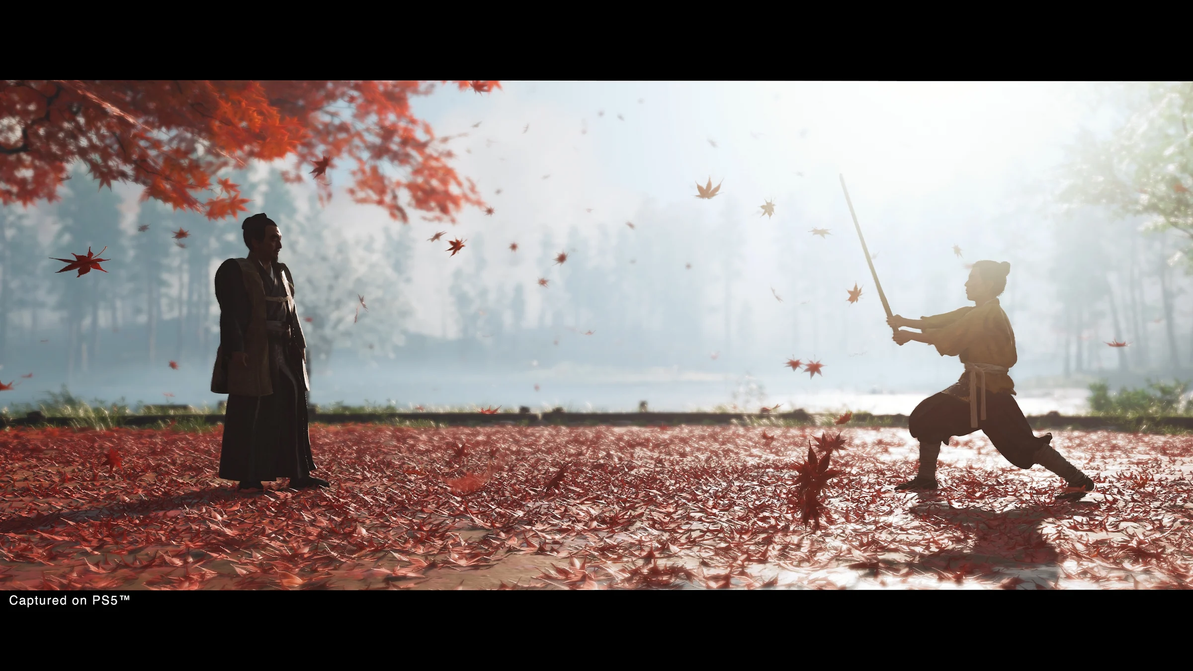 Artwork for Ghost of Tsushima
